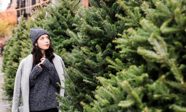 Everlane cozy knits