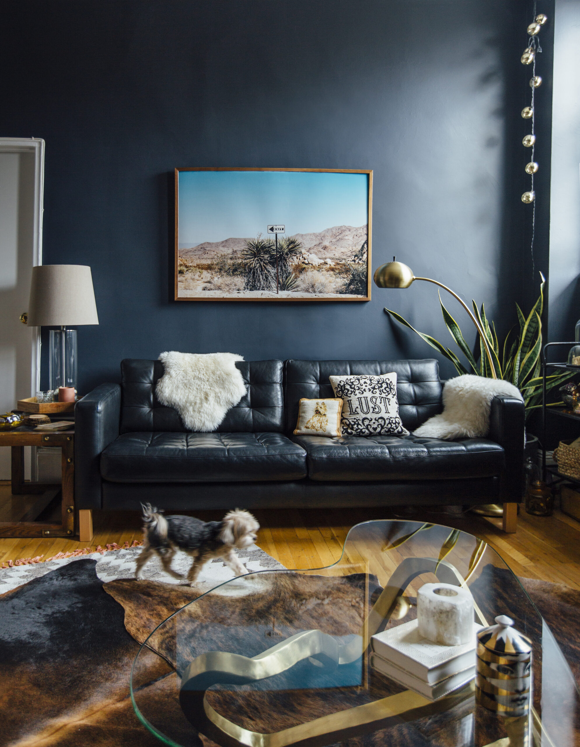 Caroline's New Apartment