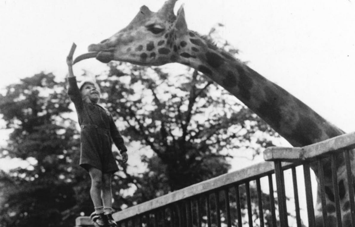 How Tall Will Your Kids Be? | Cup of Jo