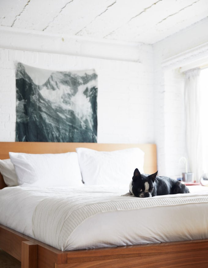 A Book-Filled Loft in Toronto