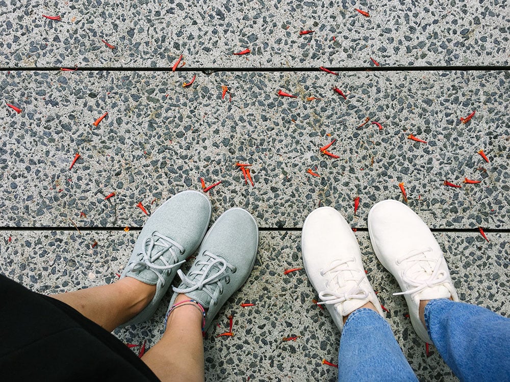 allbirds lavender