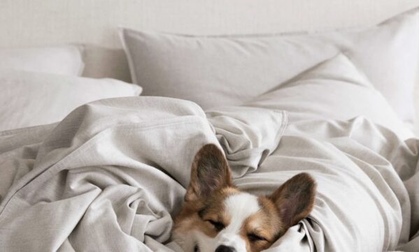 Brooklinen Bedding
