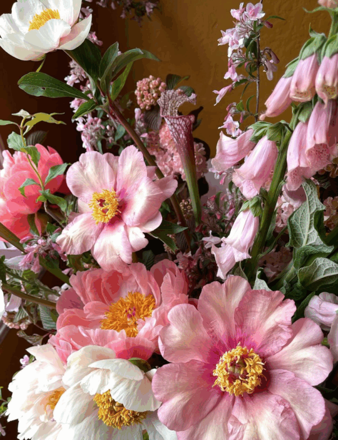 Have a lovely weekend. | Jo cup - WiredPRNews.com - Vimarsana News