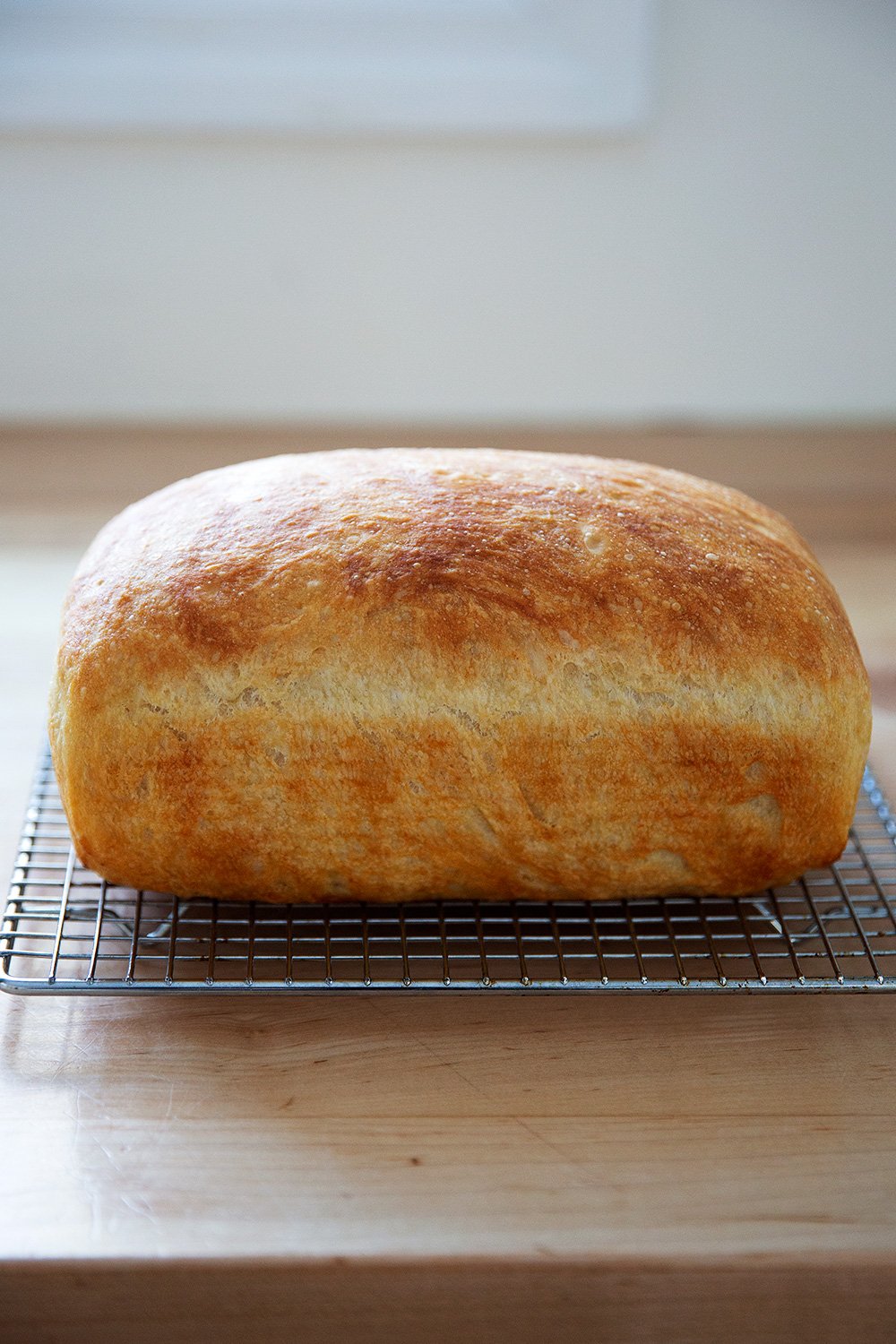 SPRING PARK Bread Loaf Pan, Non-Stick Loaf Pans for Baking Bread