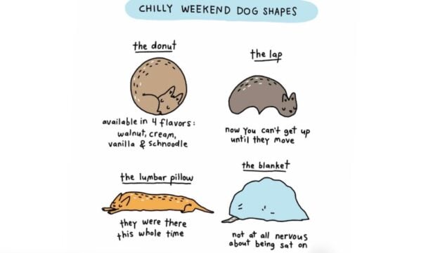 Brooke Barker Chilly Weekend Dog Shapes