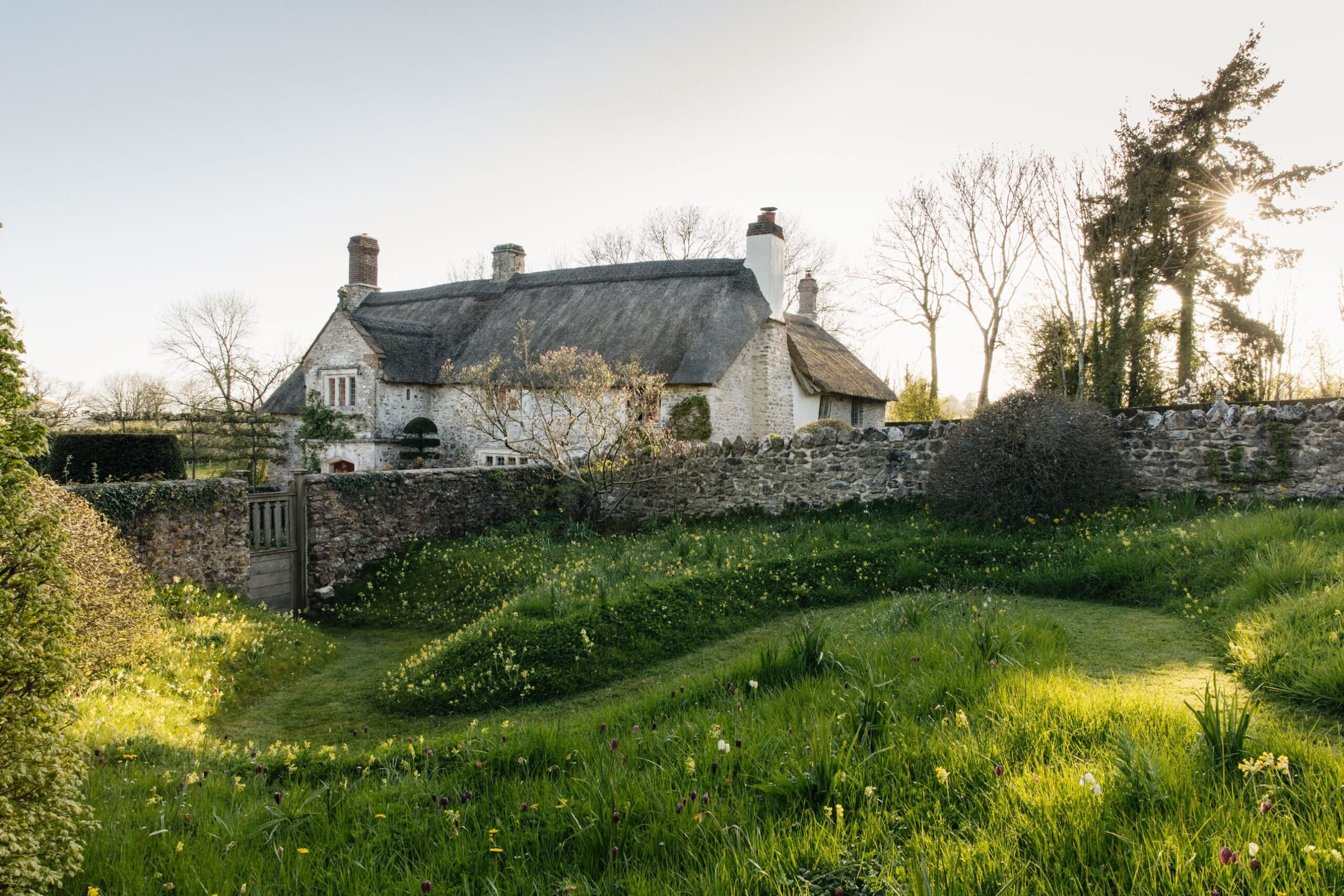 Eva Nemeth photo of garden