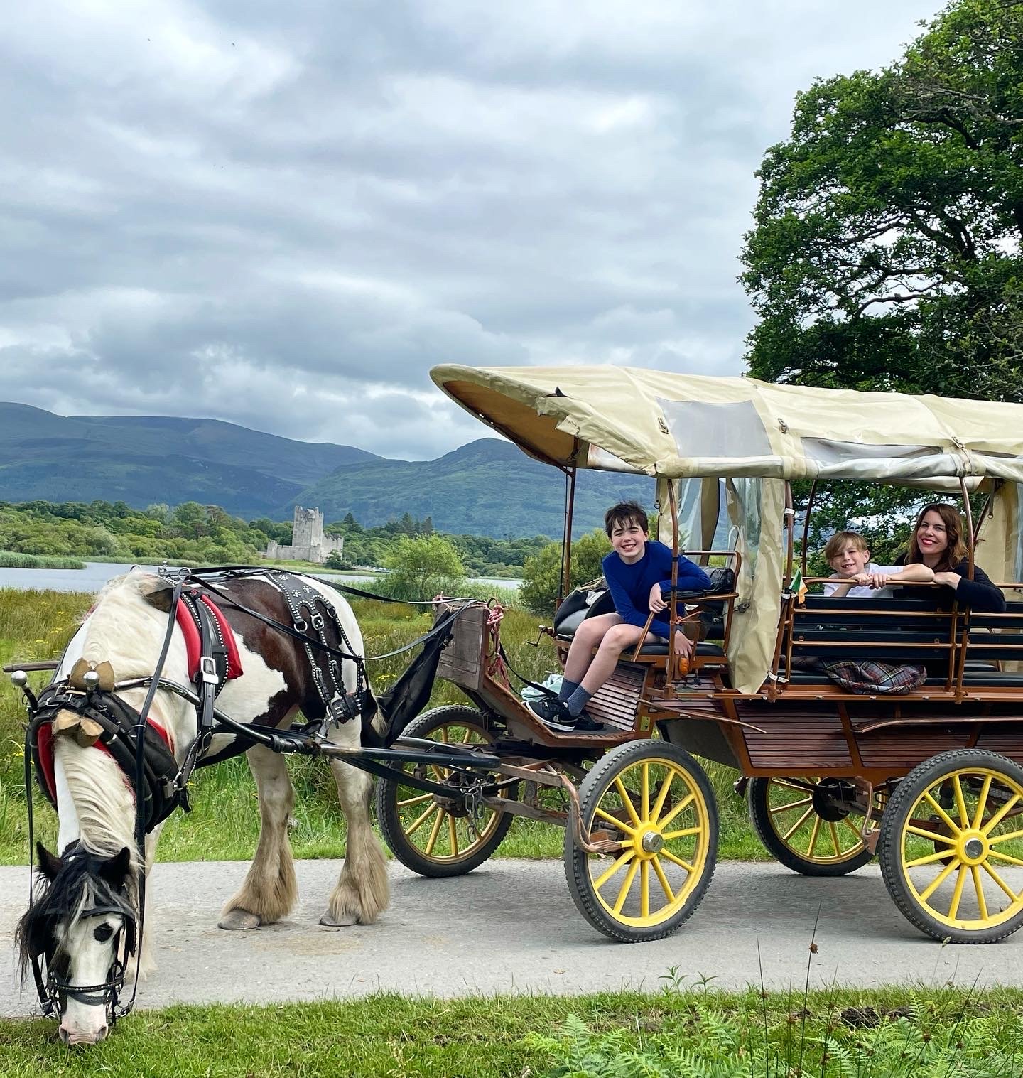 Killarney carriage ride with kids