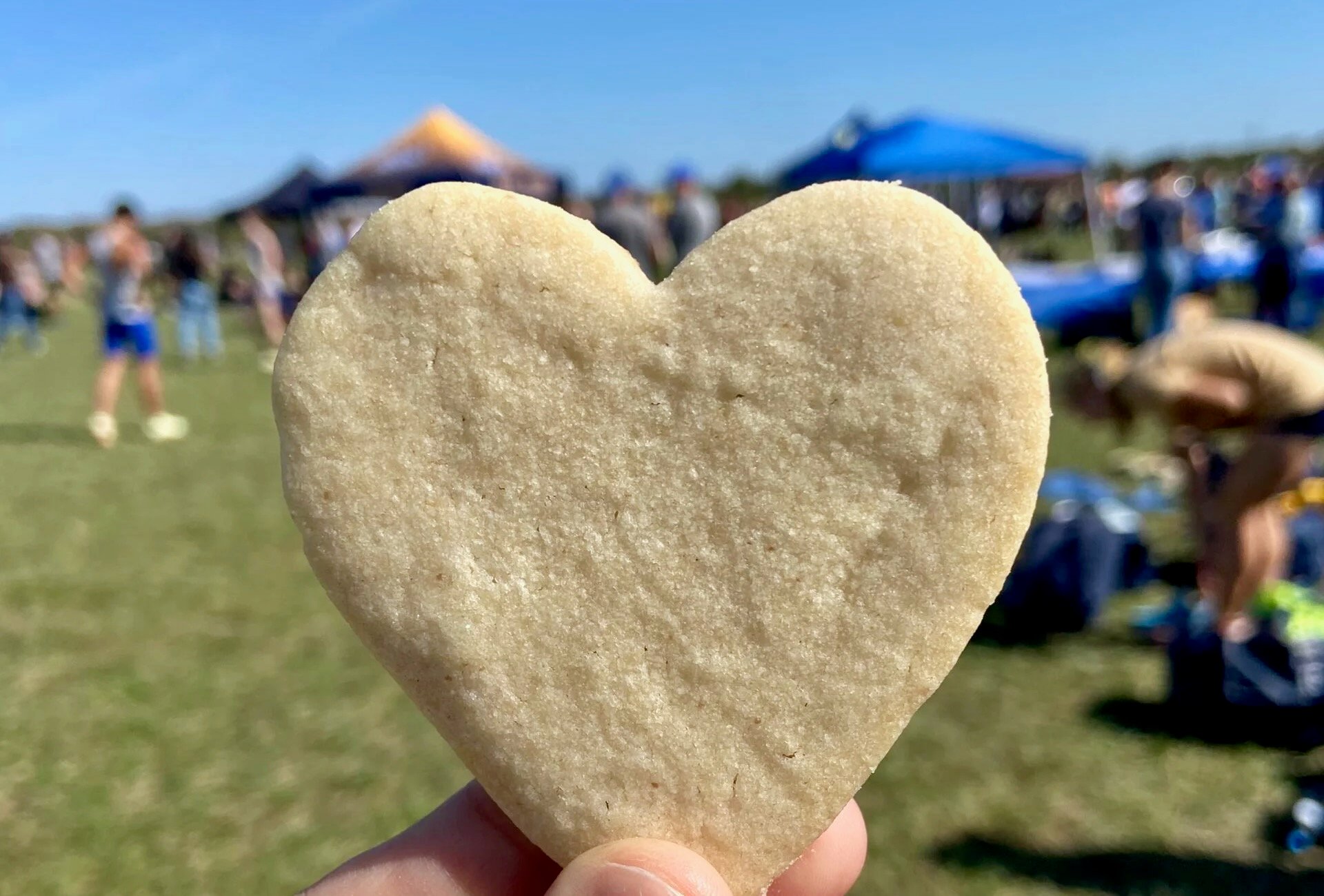 Walnut Sablé Hearts