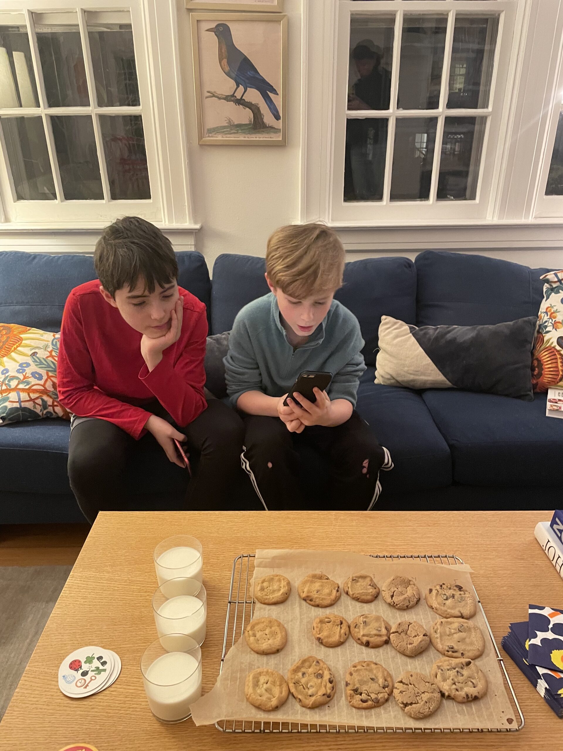 The Best Slice-and-Bake Cookie Dough: A Taste Test