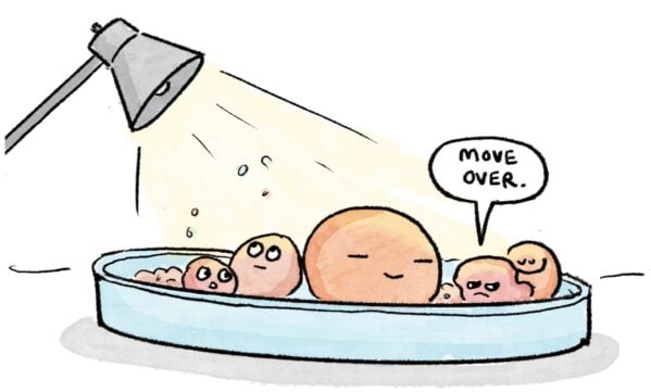 IVF Ruth Chan