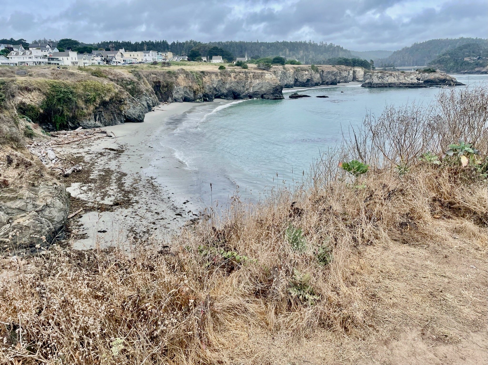 Mendocino beach views