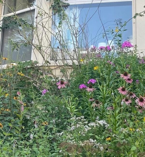 Living in Portland Maine