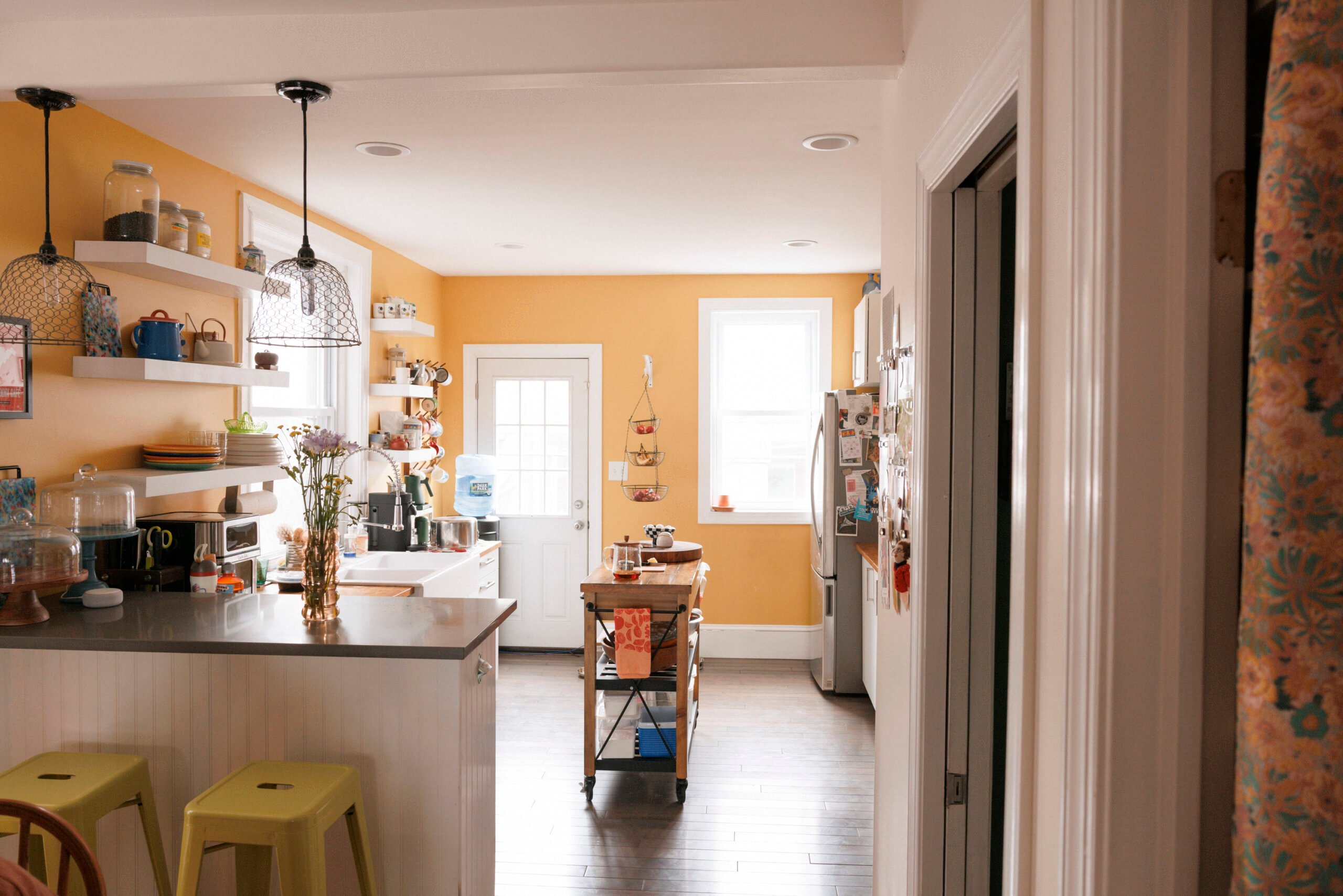Emma Copley Eisenberg's Colorful Philly House With Books, Three Cats, and Herbal Tea on Tap