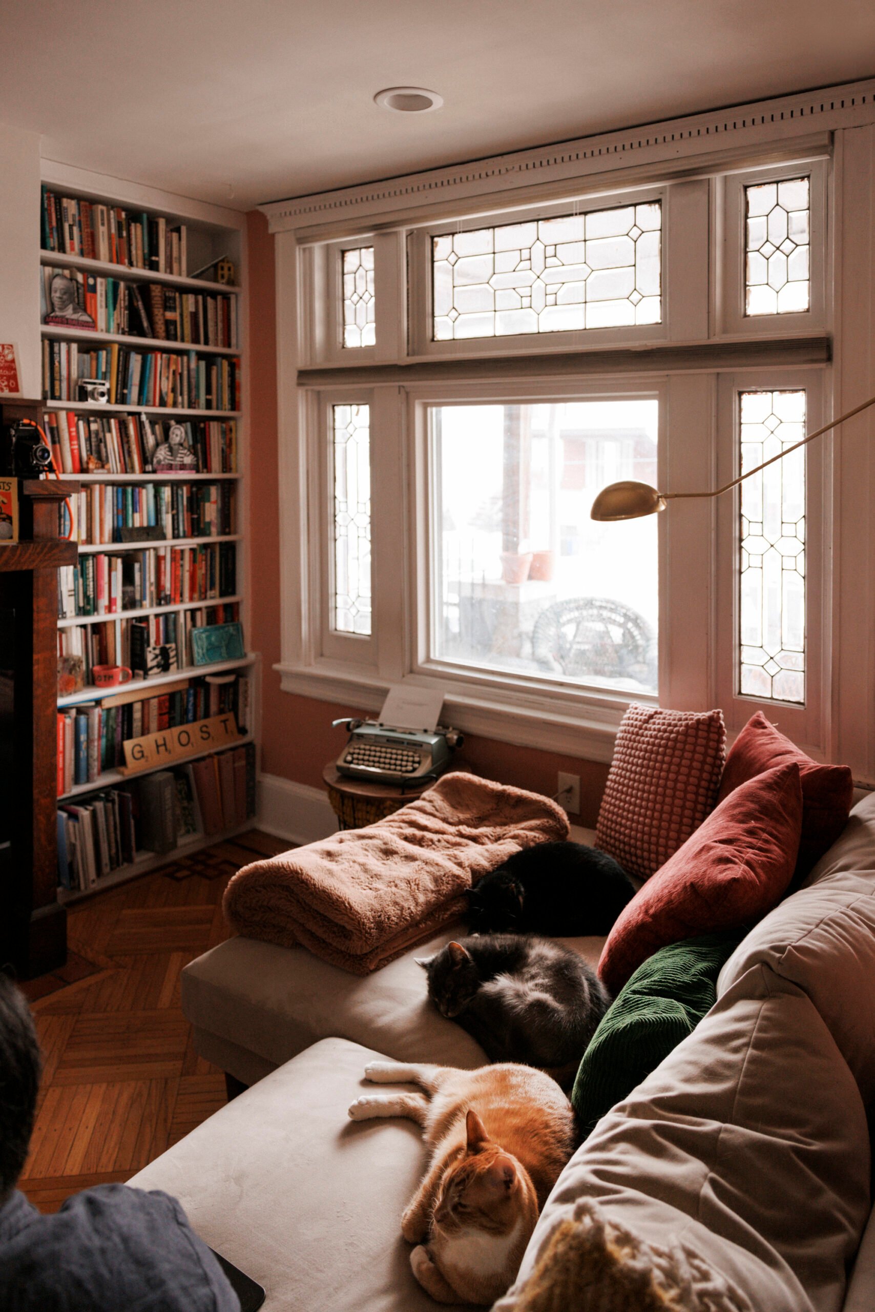 Emma Copley Eisenberg's Colorful Philly House With Books, Three Cats, and Herbal Tea on Tap