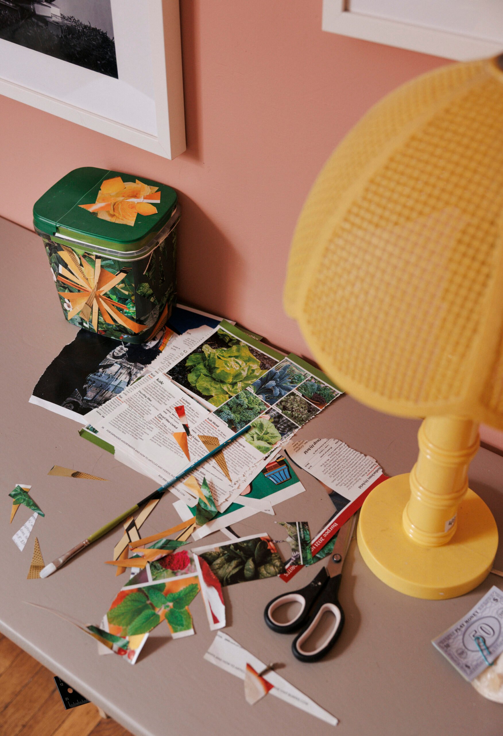Emma Copley Eisenberg's Colorful Philly House With Books, Three Cats, and Herbal Tea on Tap