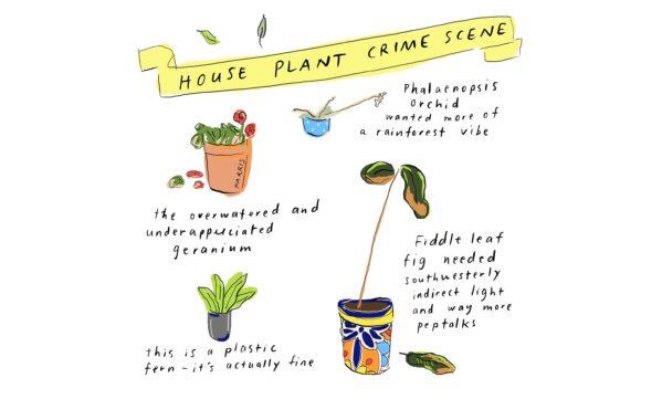 house plant crime scenes comic grace farris