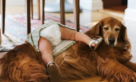 Alles wat je doet is goed.