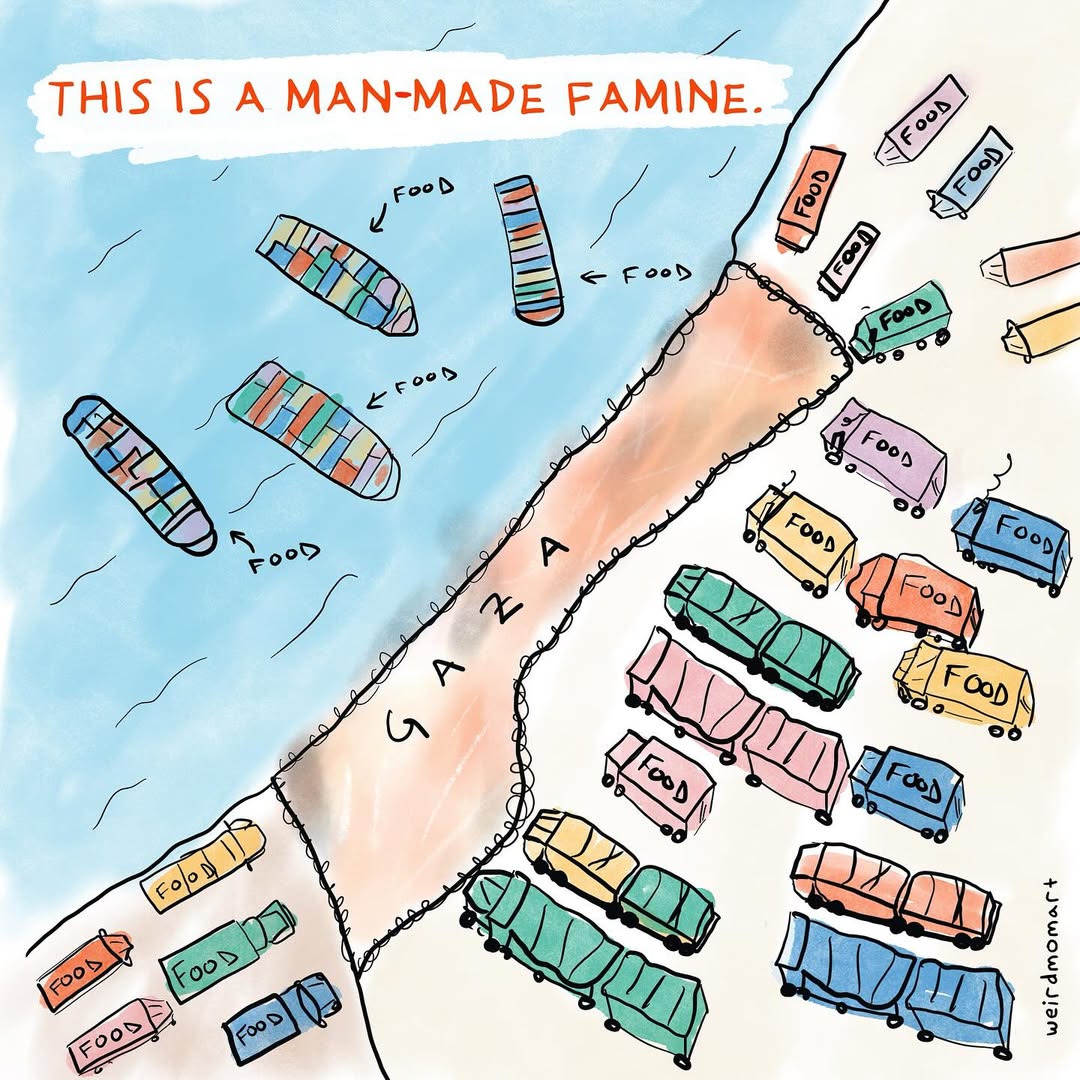 Rachel Dutash Gaza Man made a famine comic