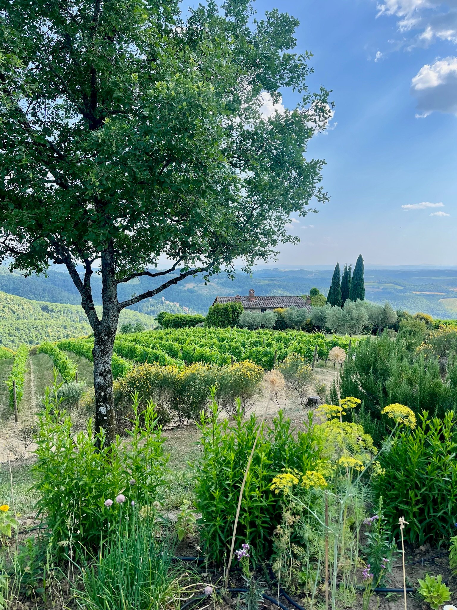 A Family Trip to Tuscany, Italy