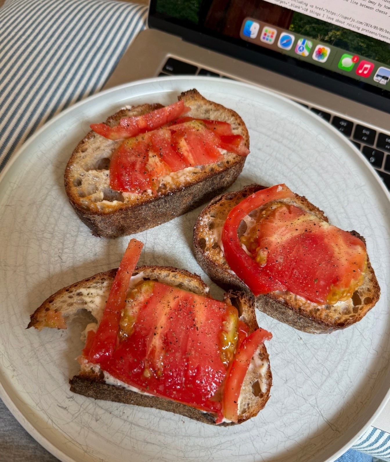 tomato sandwich
