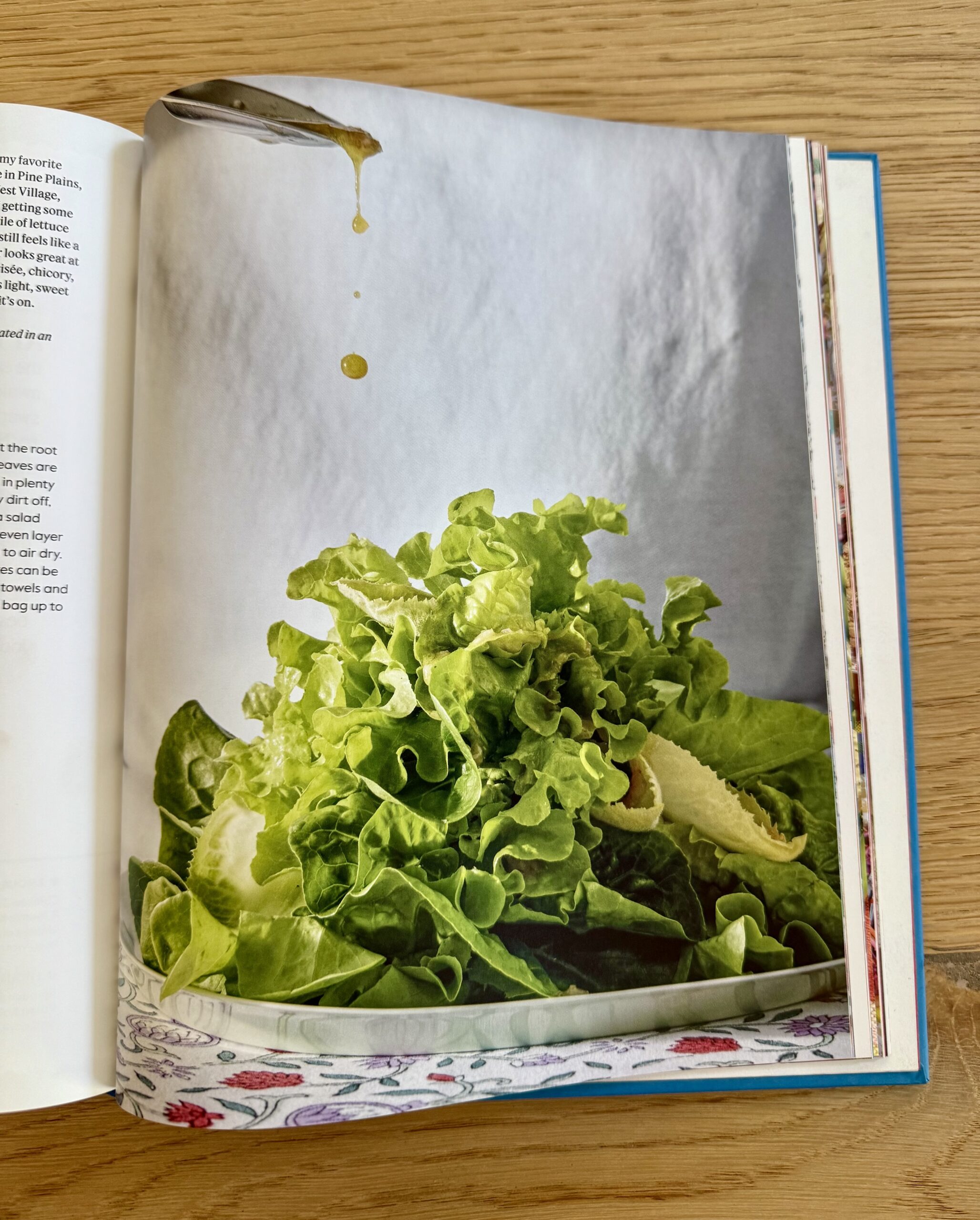 Dan Pelosi Nuovo libro di cucina Let Festa