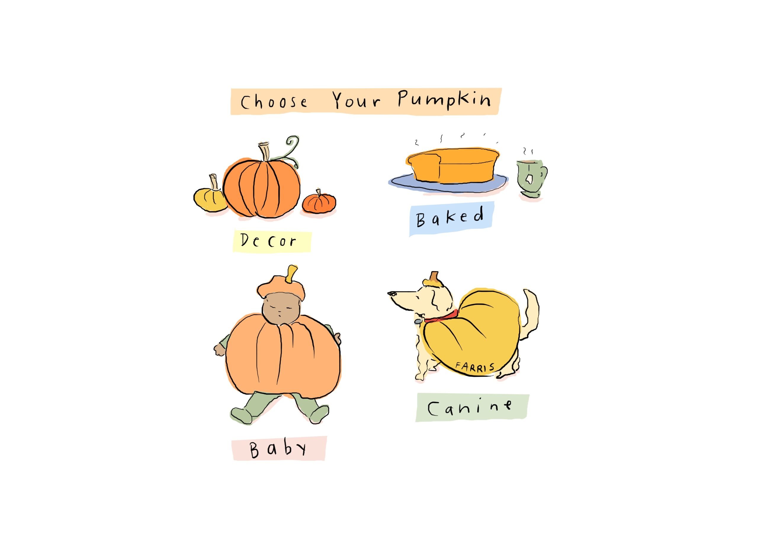 Choose Your Pumpkin