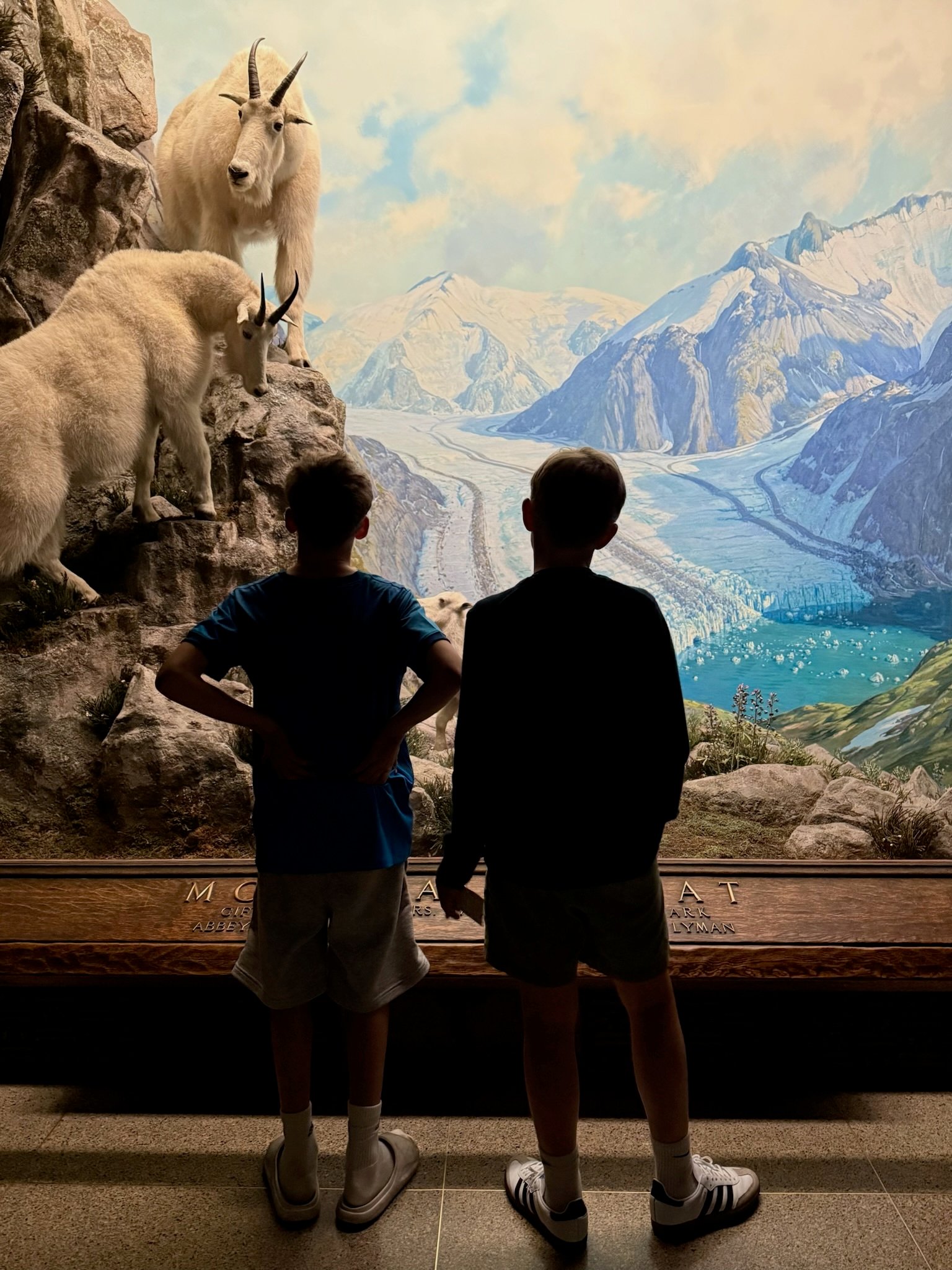 Una settimana epica a New York con preteens