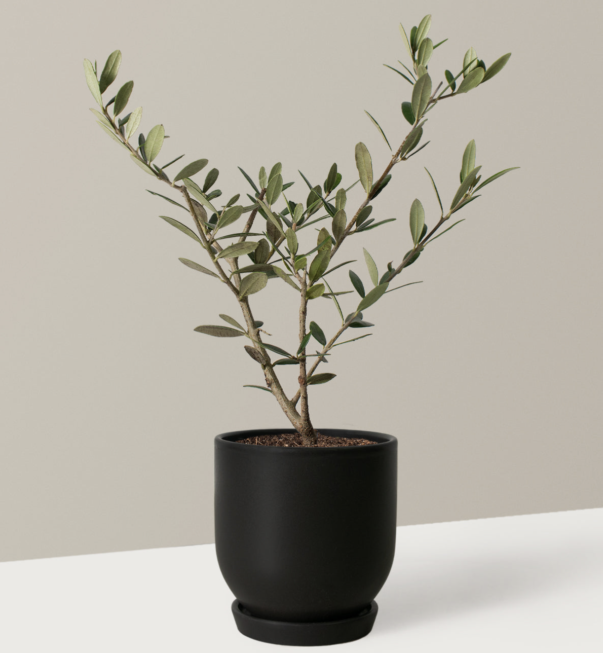 12 best gifts for sisters women