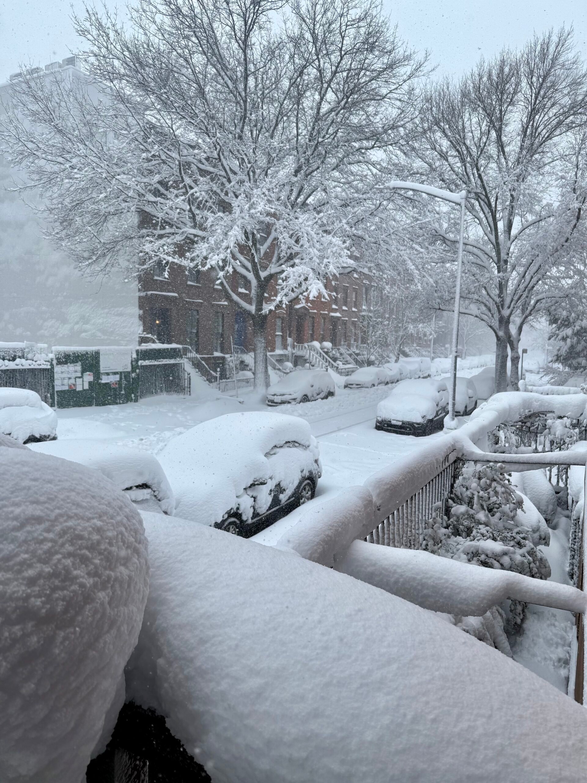 snowy Brooklyn