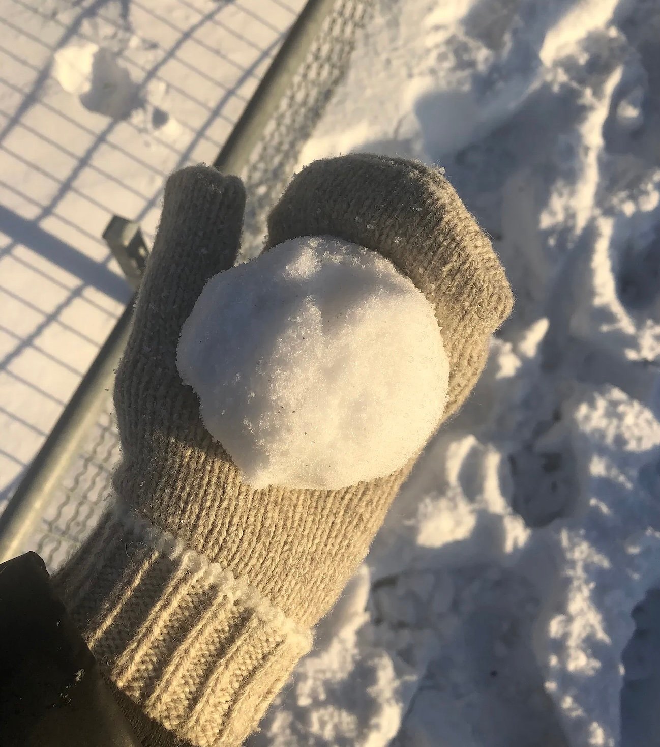 best winter wool gloves fox river