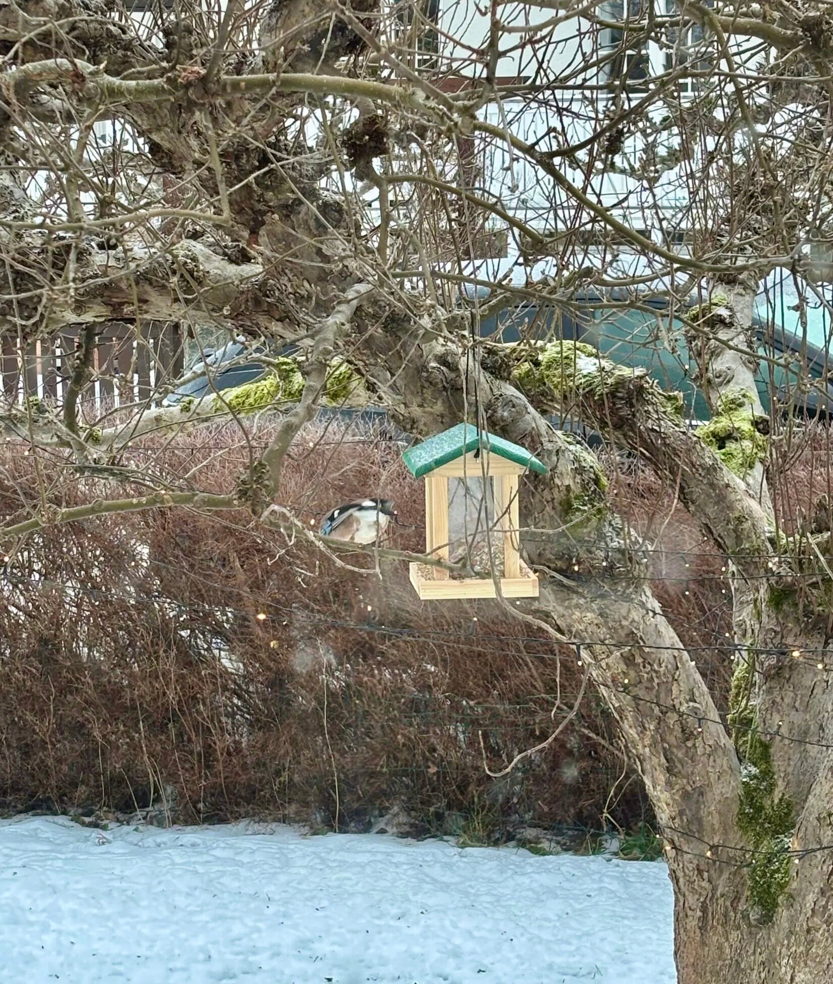 how to beat the winter blues