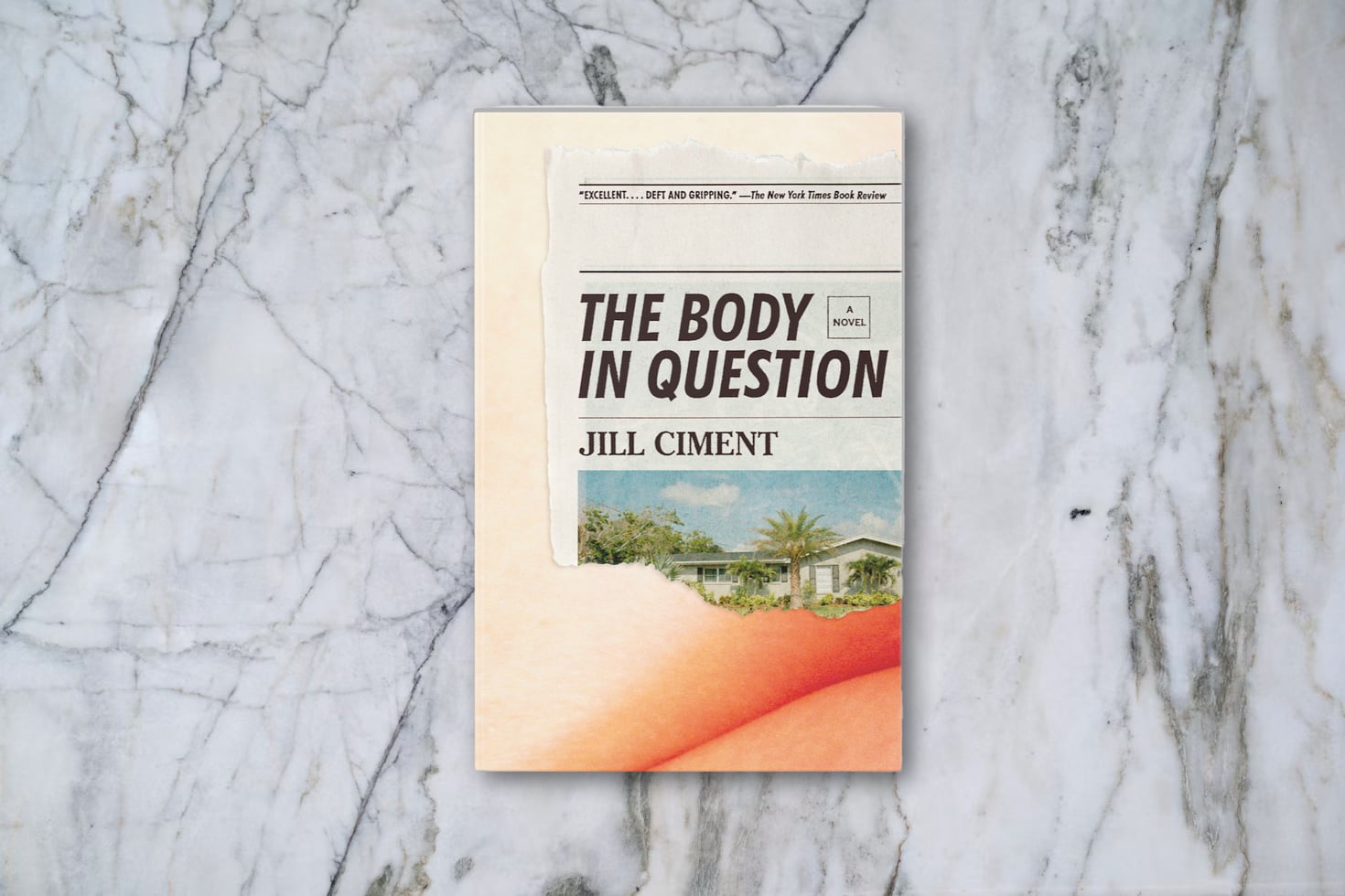 The Body in Question by Jill Ciment