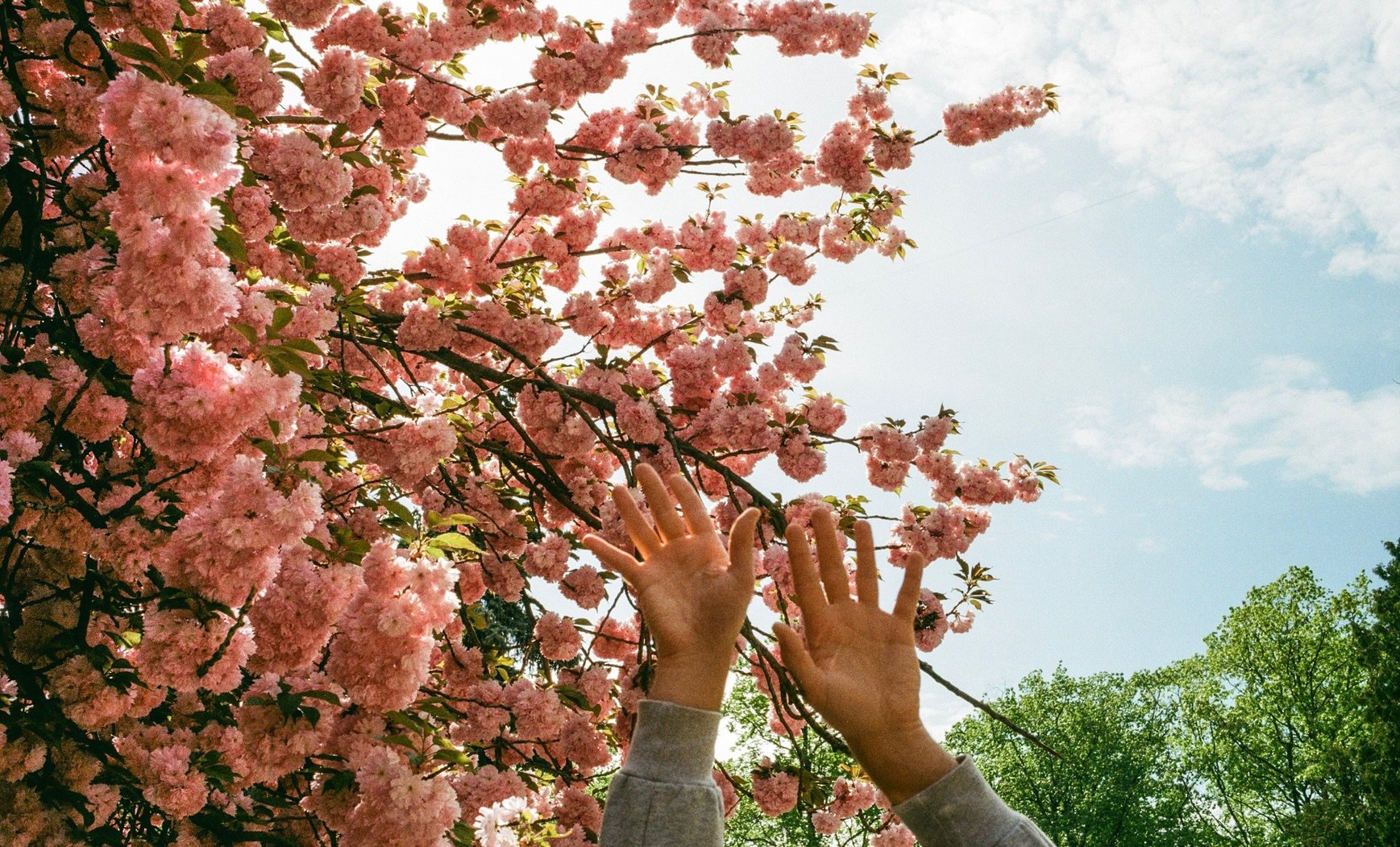 Zeven lentestukken | Kopje Jo