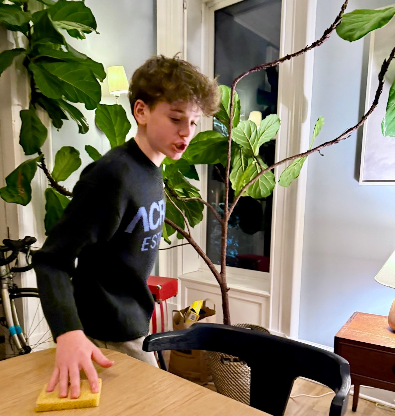 boys cleaning chores