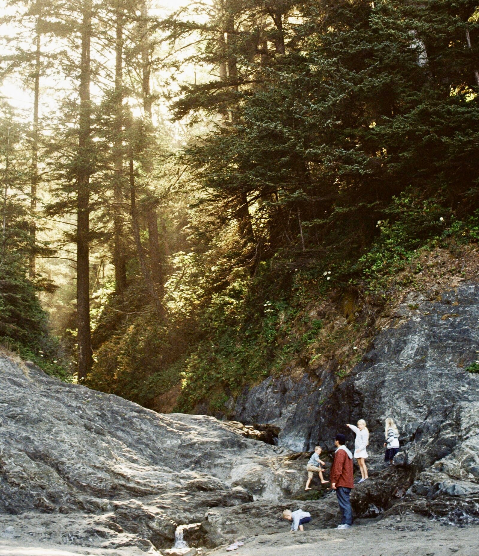 parenting advice on raising large families