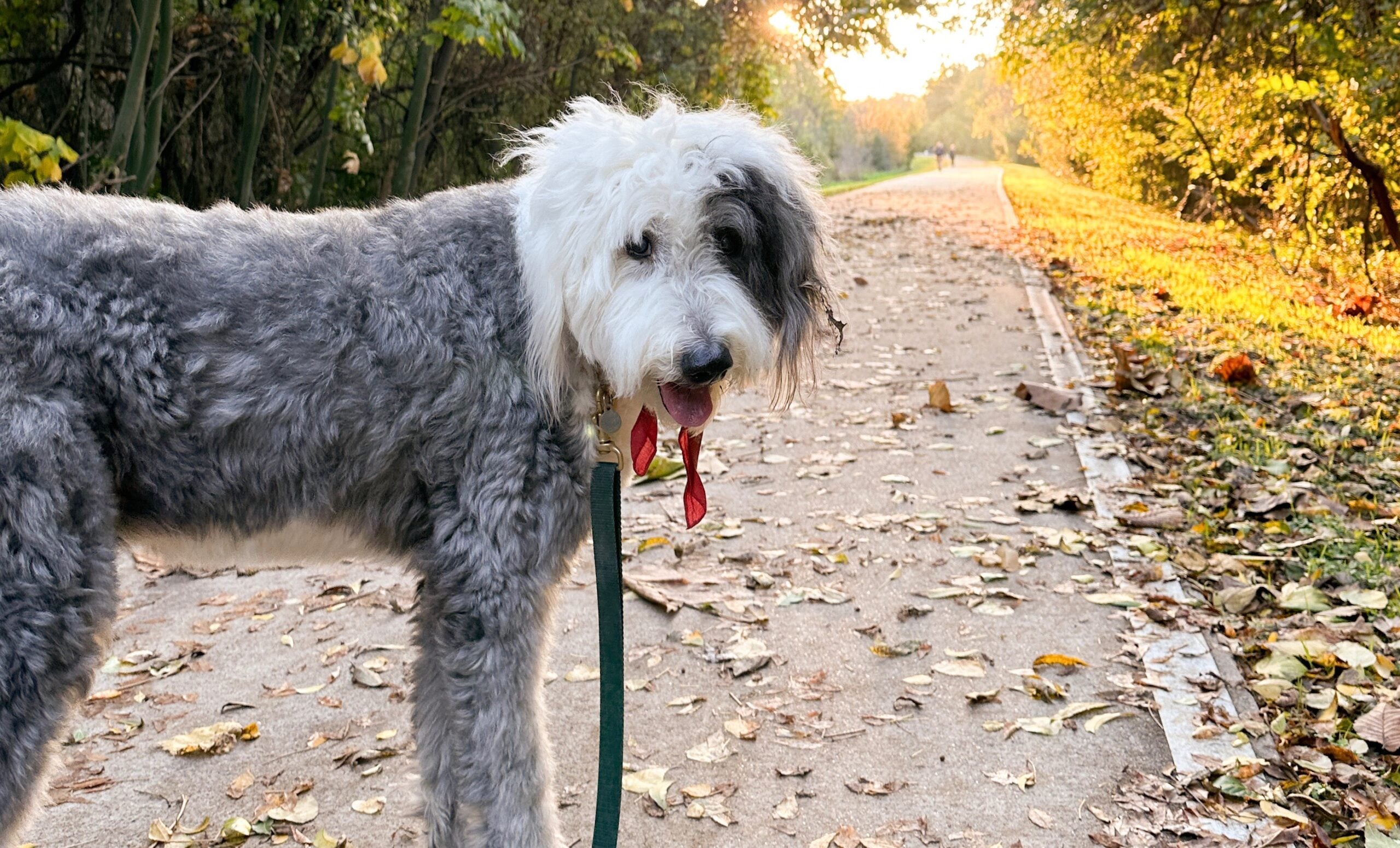 13 Readers Share Their Favorite Walking Paths