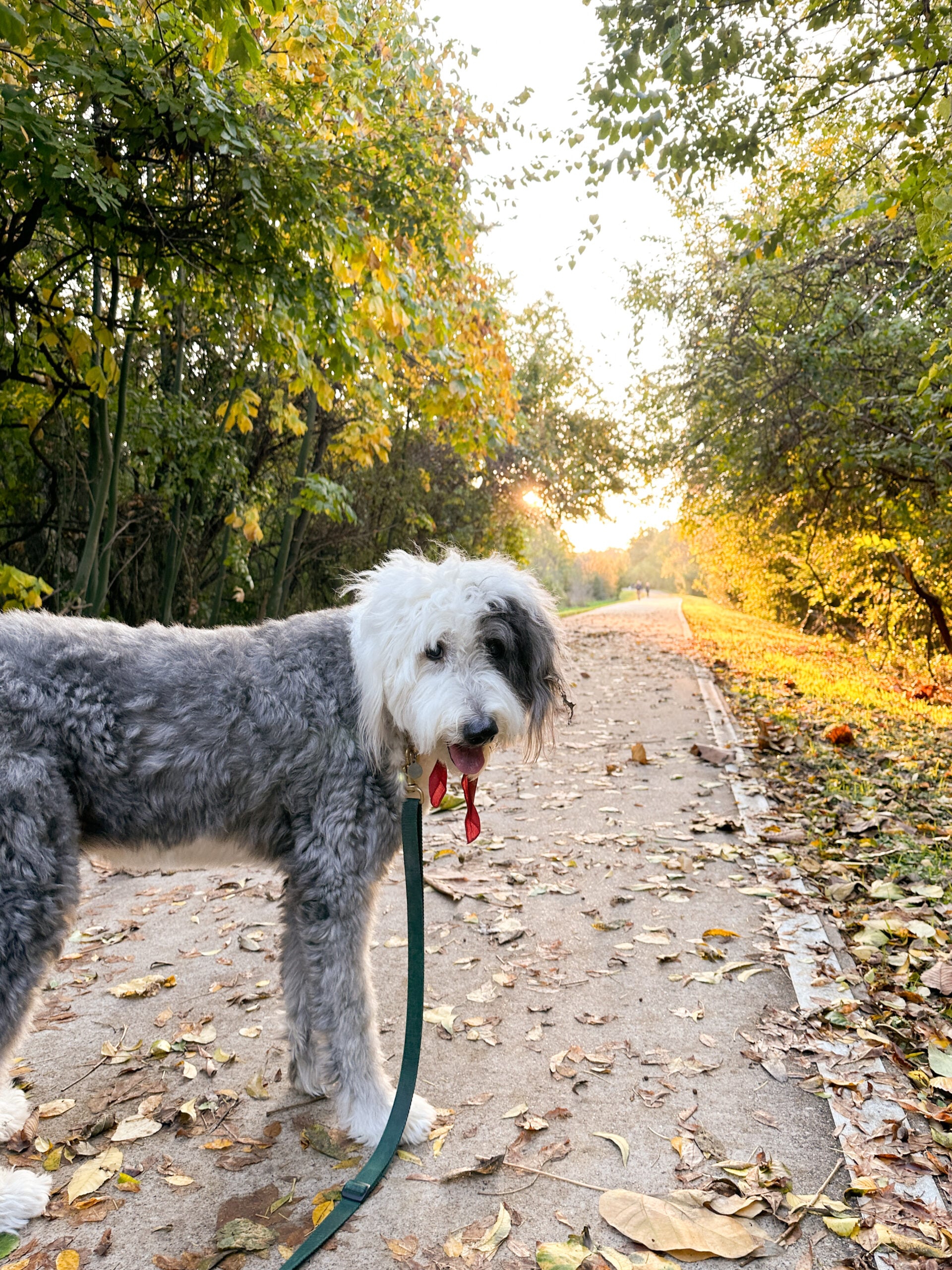 Cup of Jo Readers Share Favorite Walking Paths