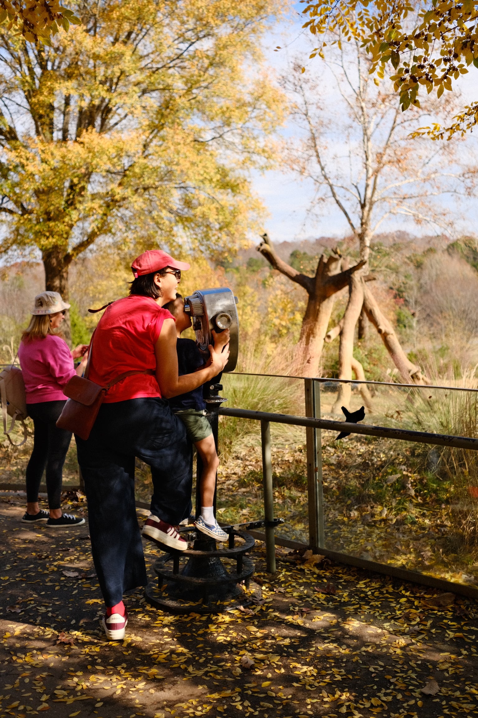 Cup of Jo Readers Share Favorite Walking Paths