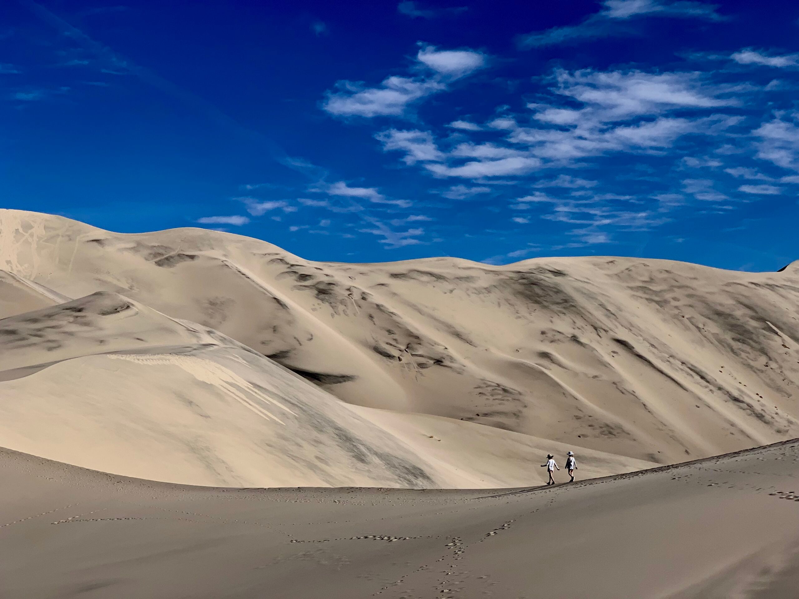 Cup of Jo Readers Share Favorite Walking Paths