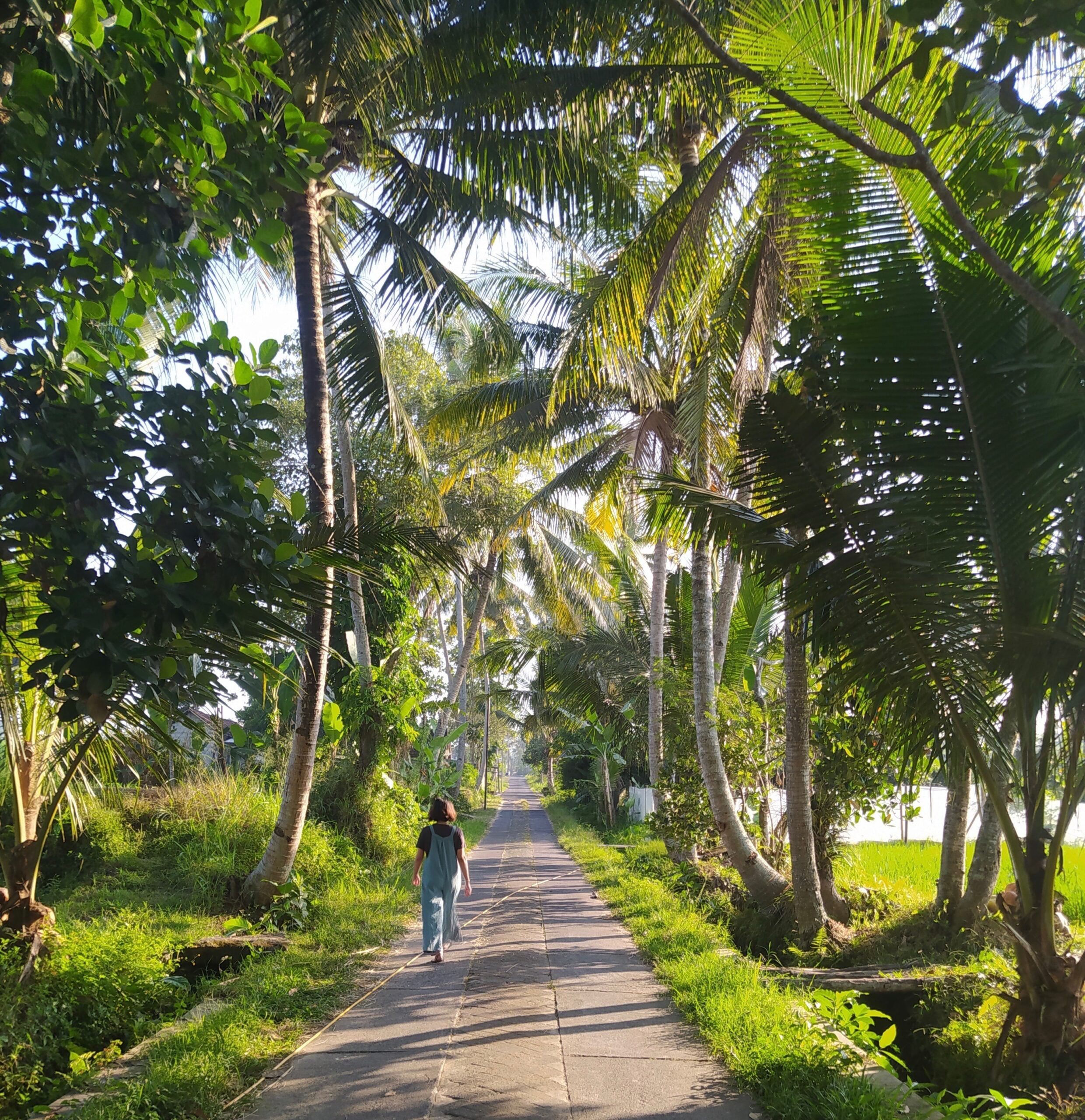 Cup of Jo Readers Share Favorite Walking Paths