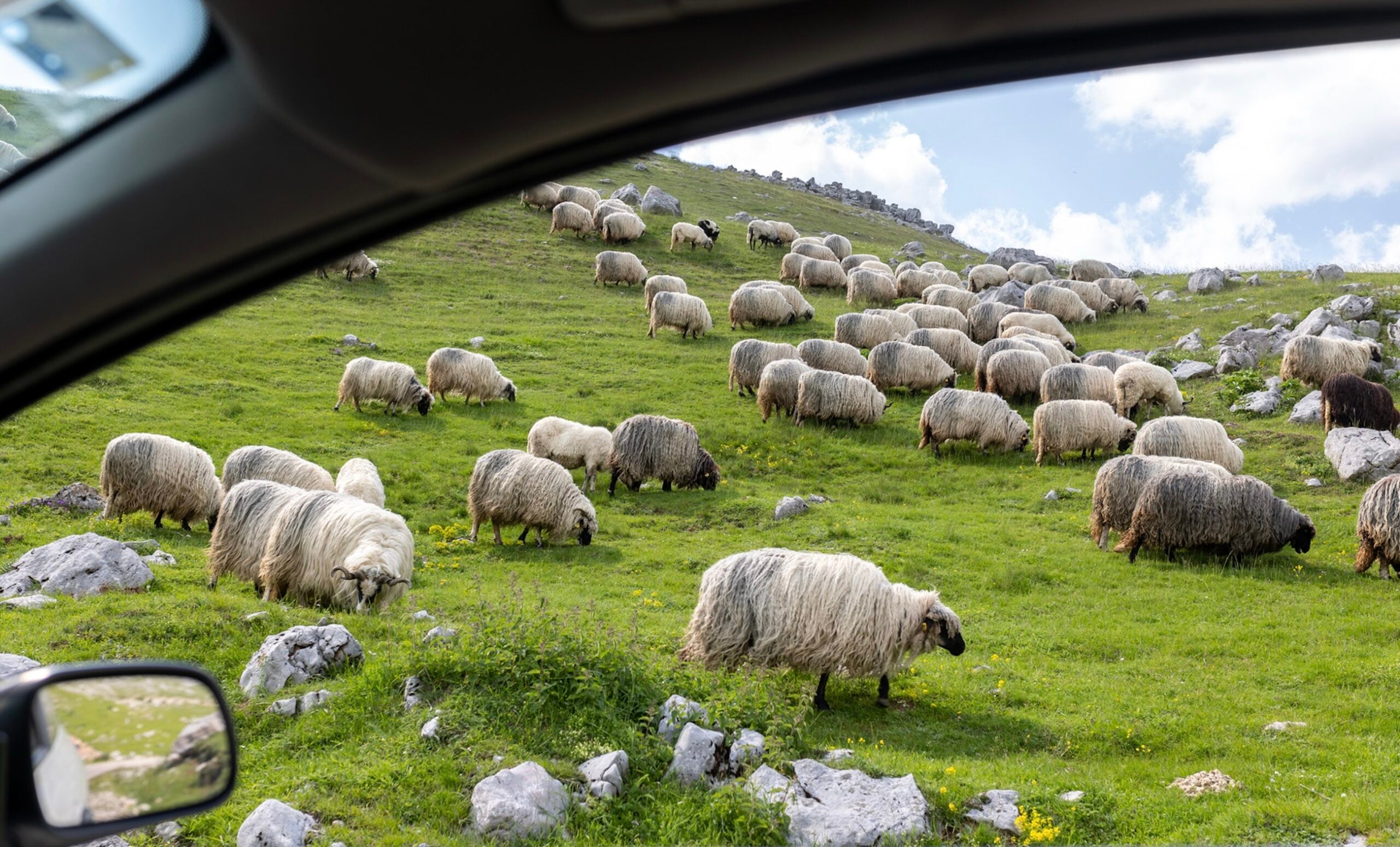 Geniet van een ontspannend weekend. | Kopje Jo