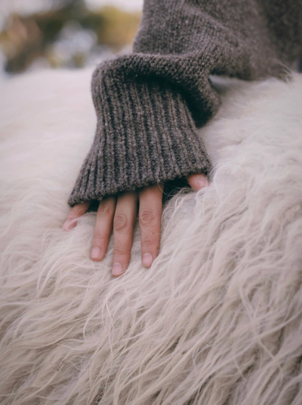 Babaà Giveaway and Discount Code