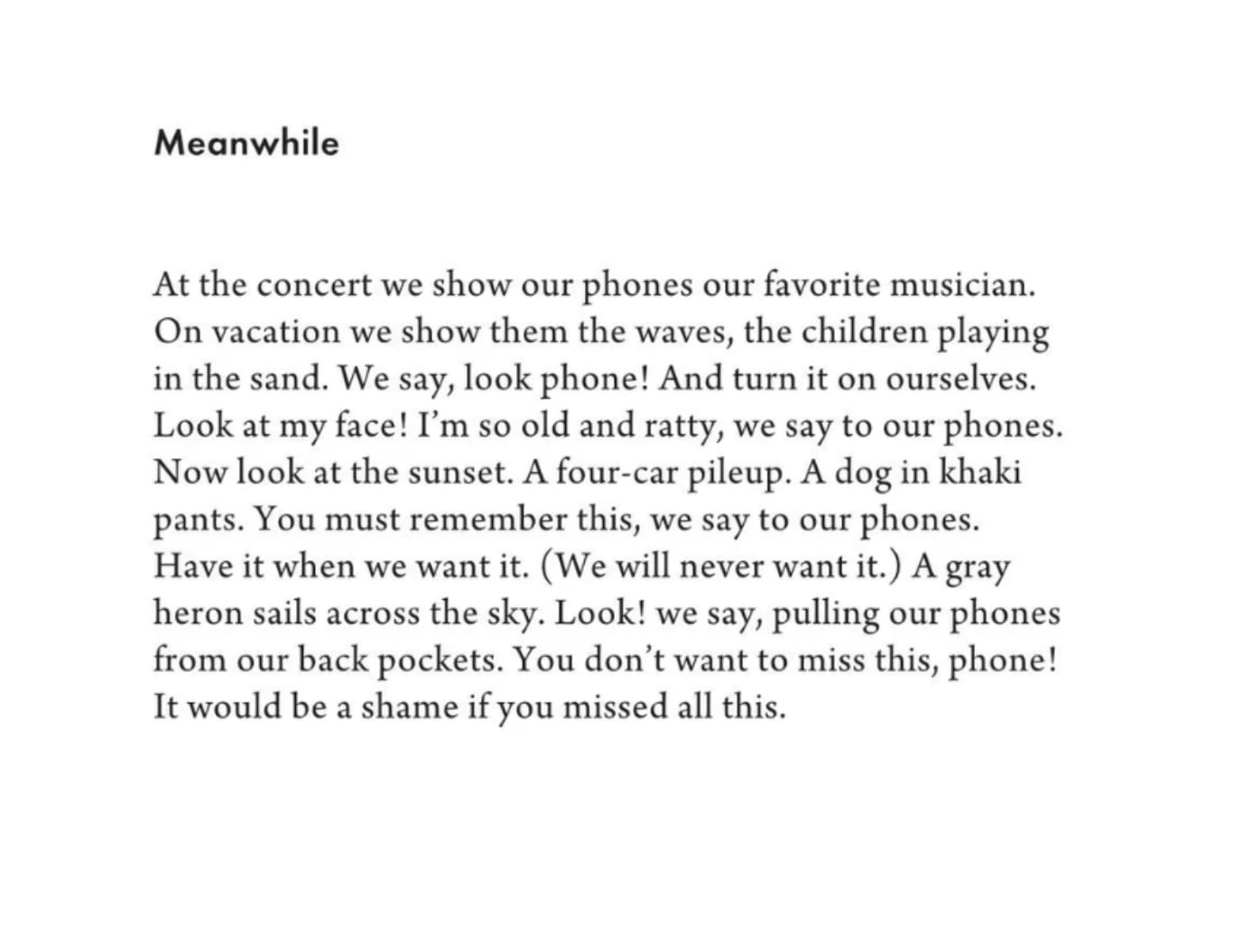 Kate Baer poem meanwhile