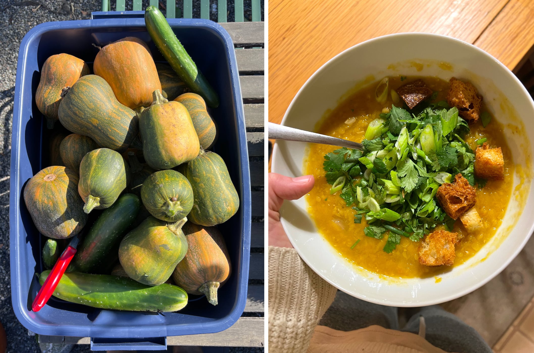 Alison Roman squash soup