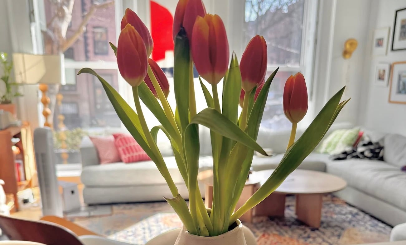 Vier leuke dingen | Kopje Jo