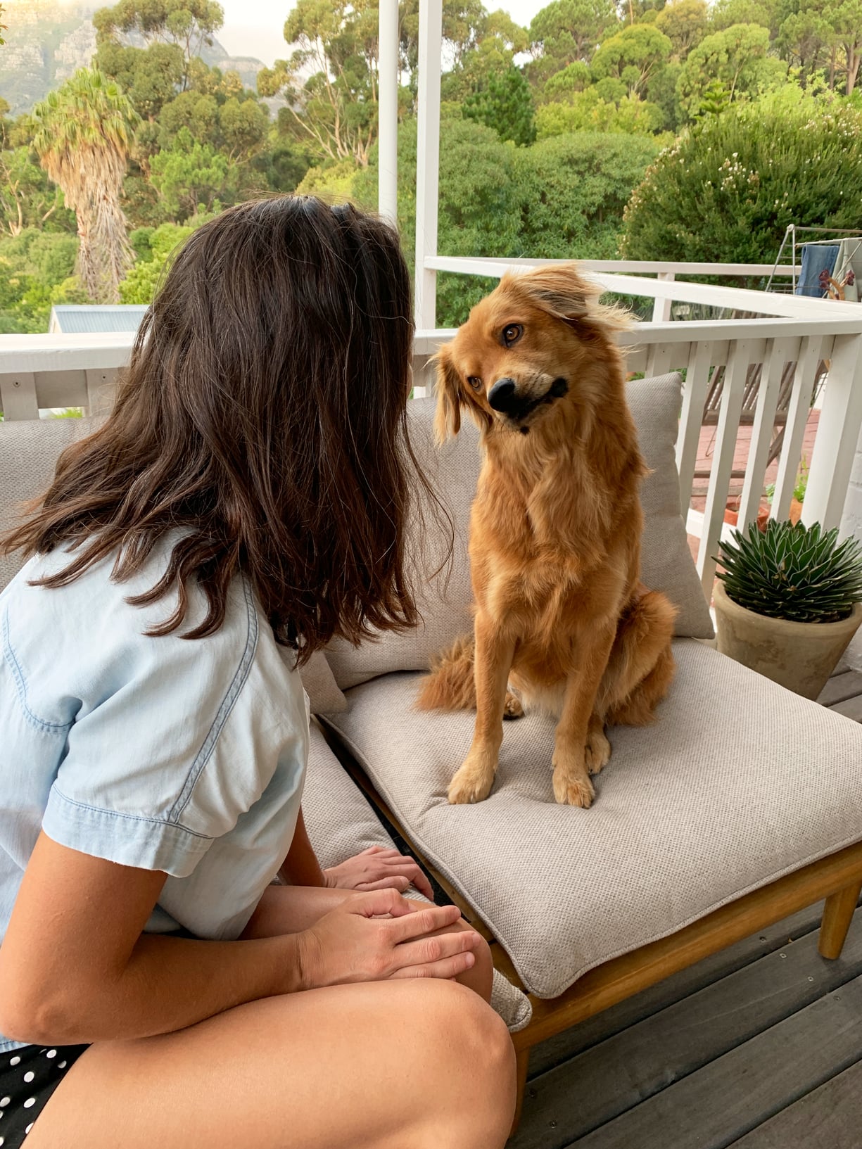 What Are Your Pets’ Names?