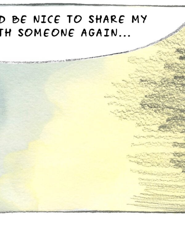 manifesting a new love after divorce comic