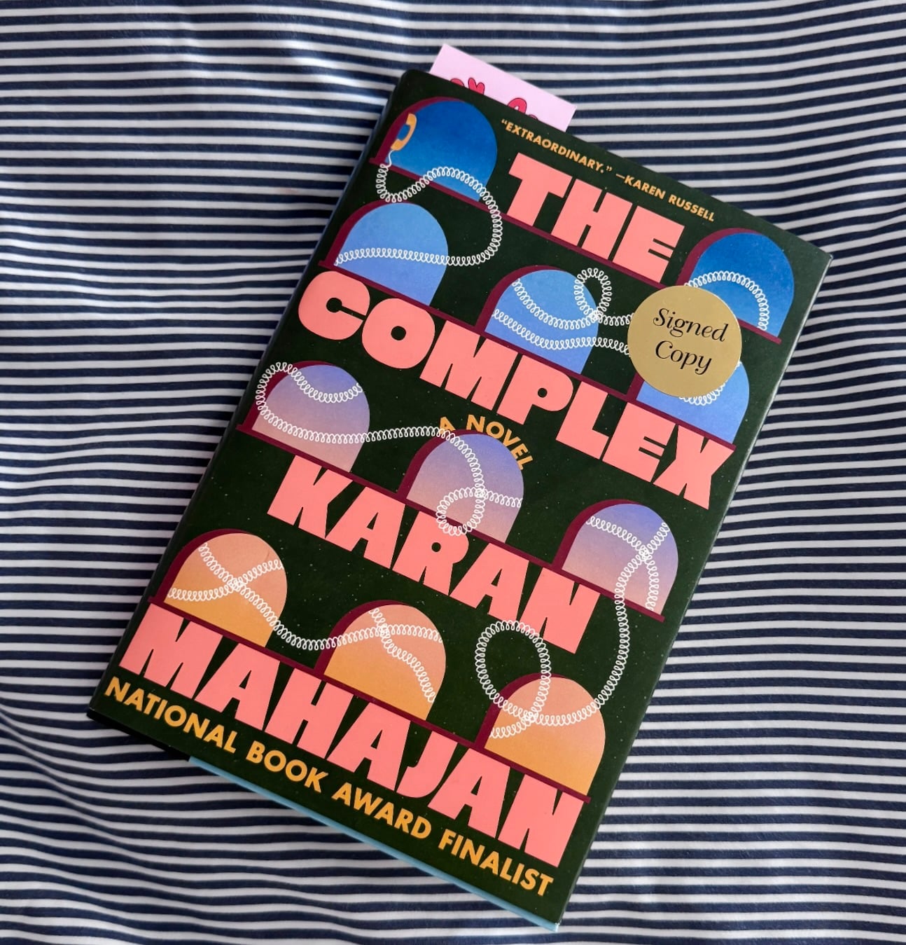 complex novel Karan Mahajan