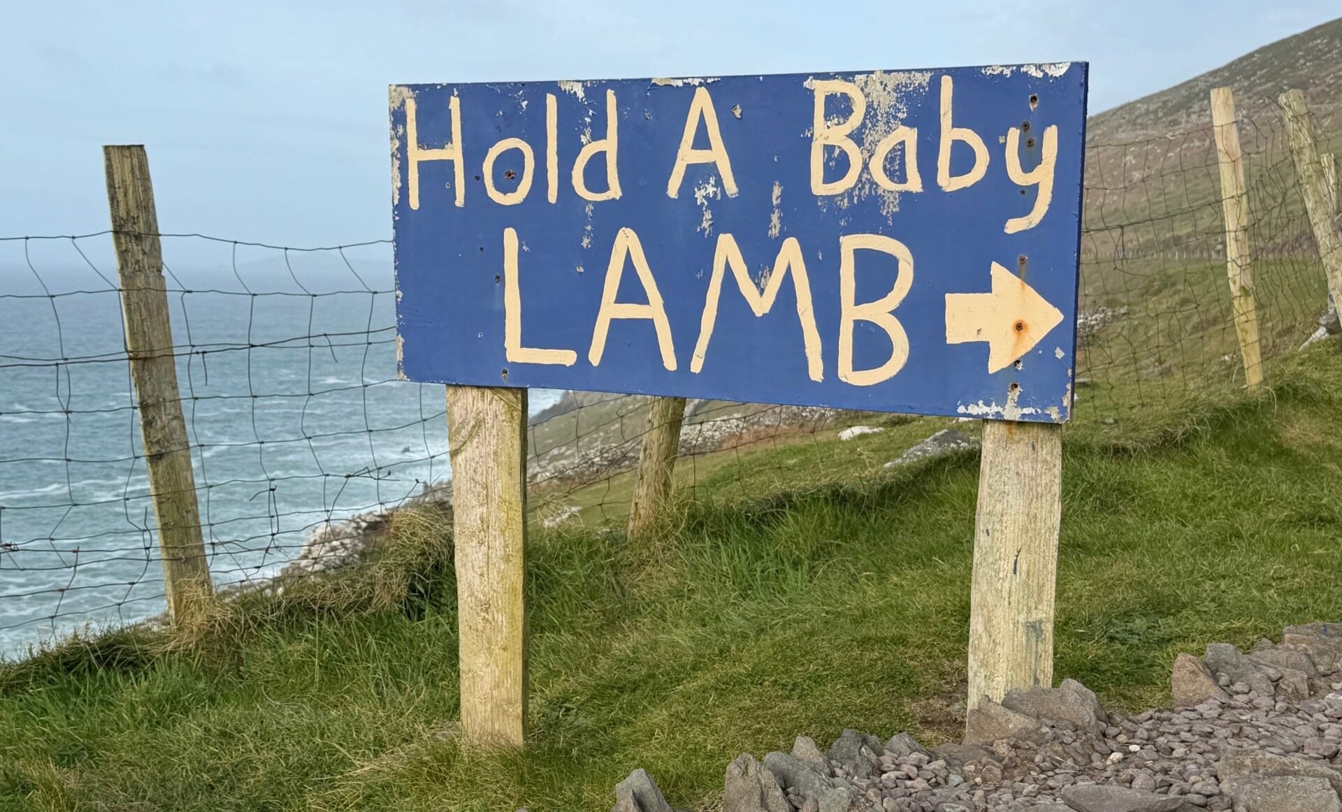 Tell Me Something Lovely.