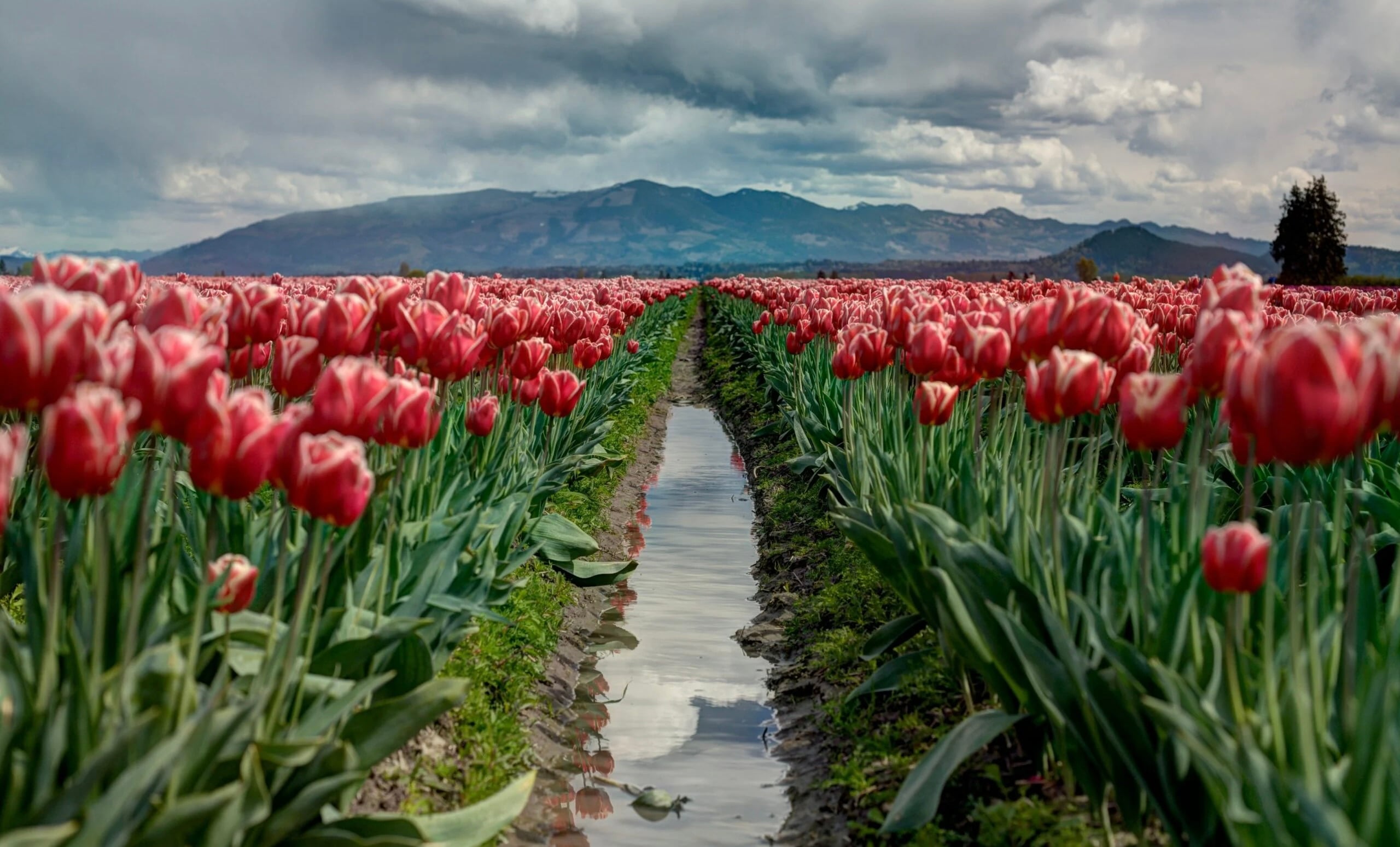 Heb een mooi weekend. | Kopje Jo
